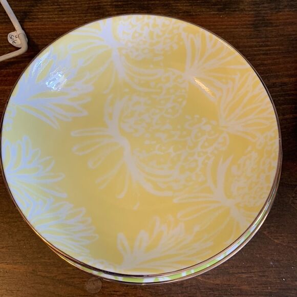 Lilly Pulitzer bowls – set up for. NWOT - Picture 5 of 7